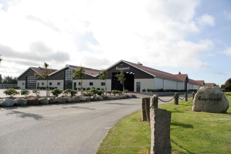 Landbrug opført som en 3-skibshal, Engesgaardsvej 81, 9490 Pandrup